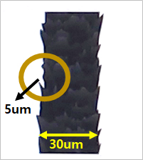 모발 단면 및 손상 부위